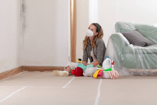 Reliable Mold Remediation contractor in Bailey, NC by Cheap Mold Removal